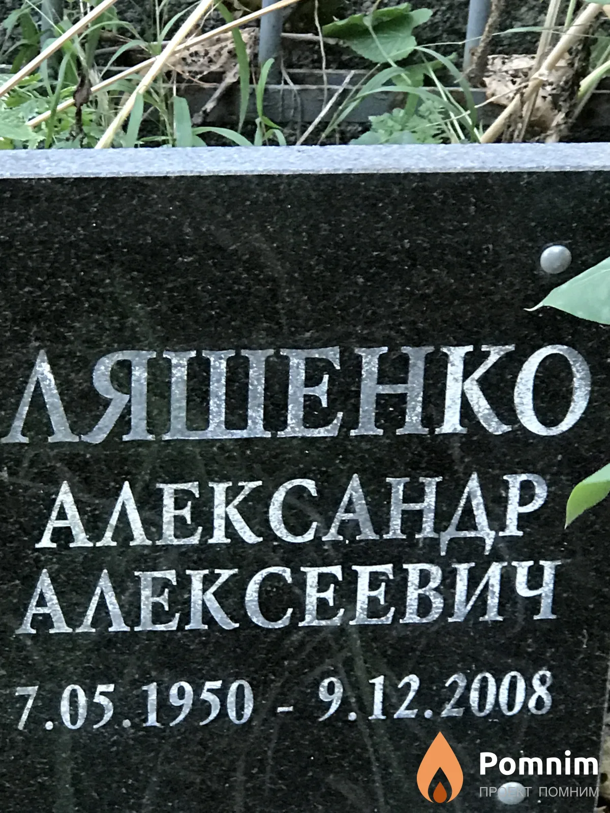 Ляшенко Александр Алексеевич