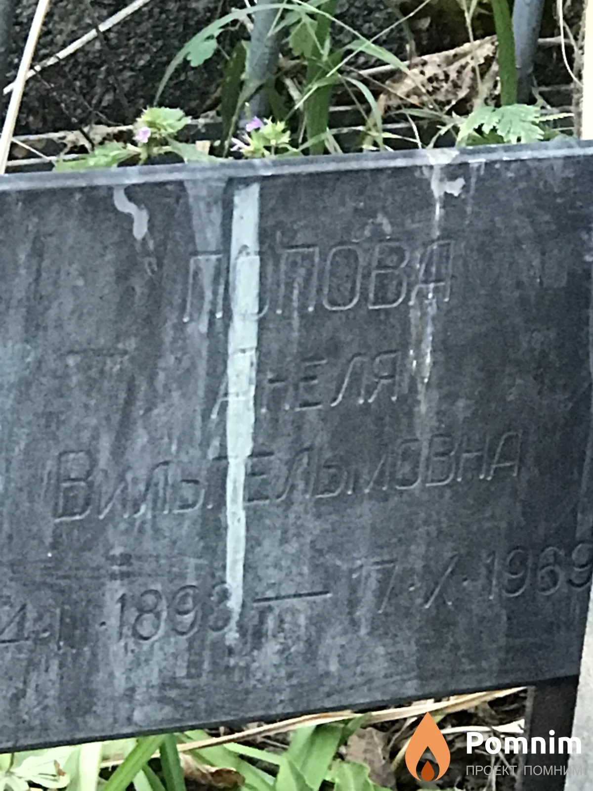 Попова Анеля Вильпельмова