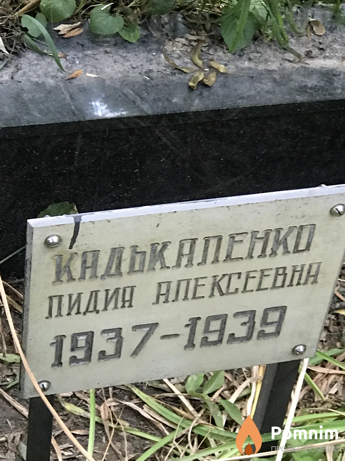 Кадькаленко Лидия Алексеевна
