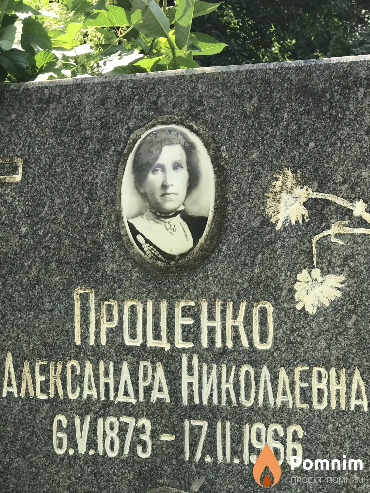 Проценко Александра Николаевна