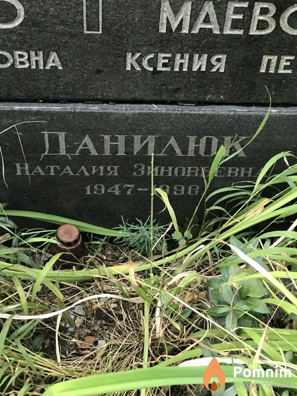 Данилюк Наталия Зиновьевна