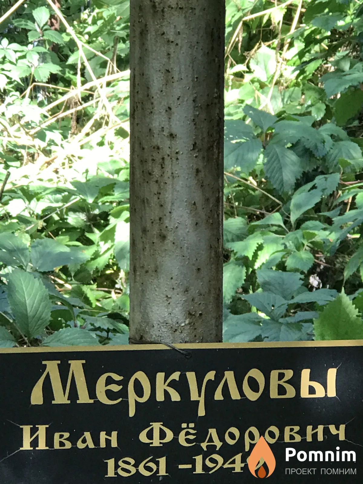Меркулов Иван Фёдорович