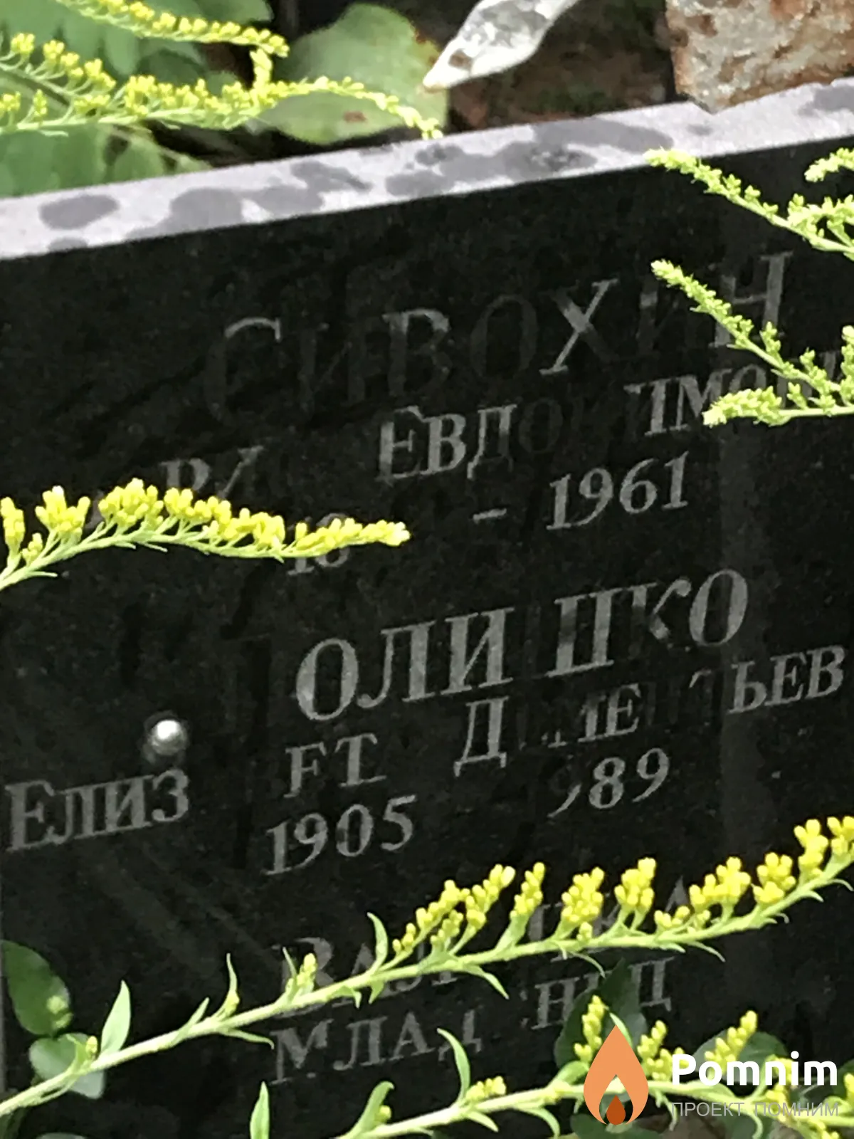 Полишко Елизавета Диментевна