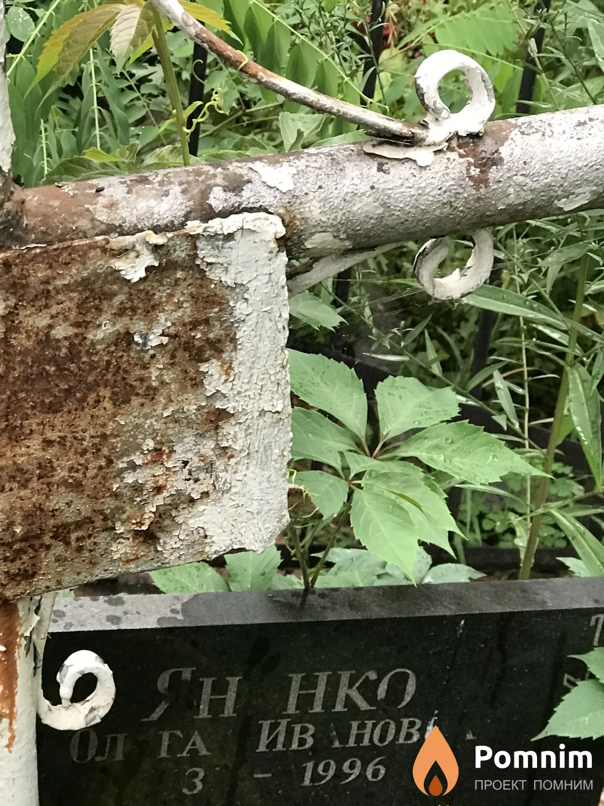 Яненко Ольга Ивановна
