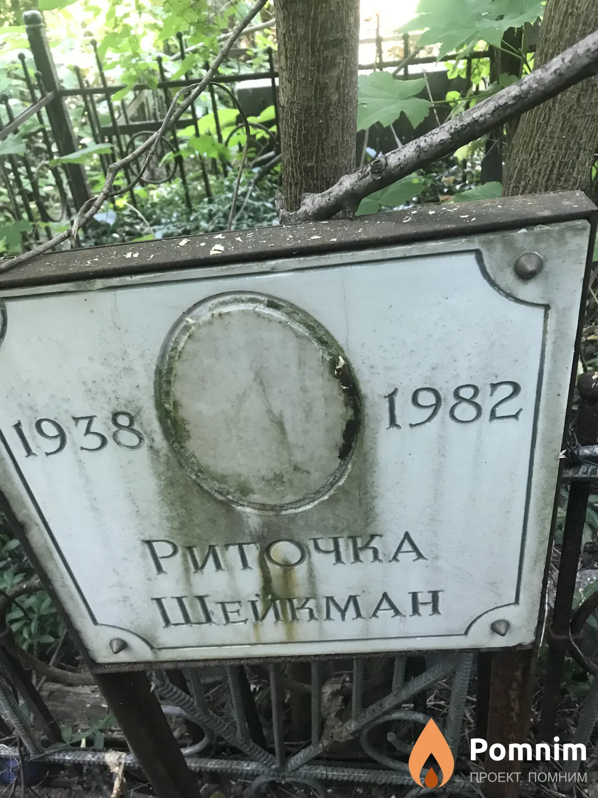 Шейман Рита
