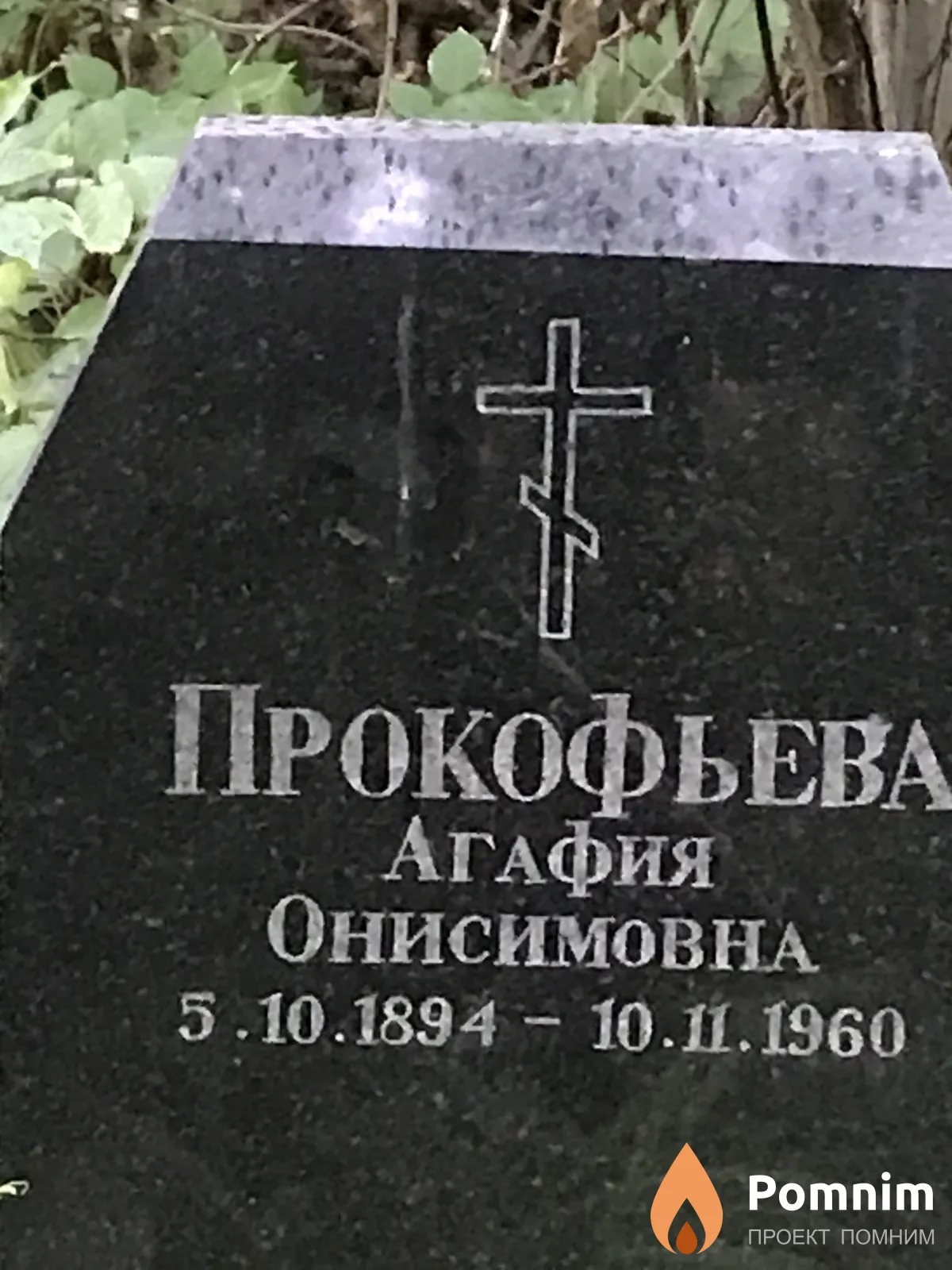 Прокофьева Агафия Онисимовна