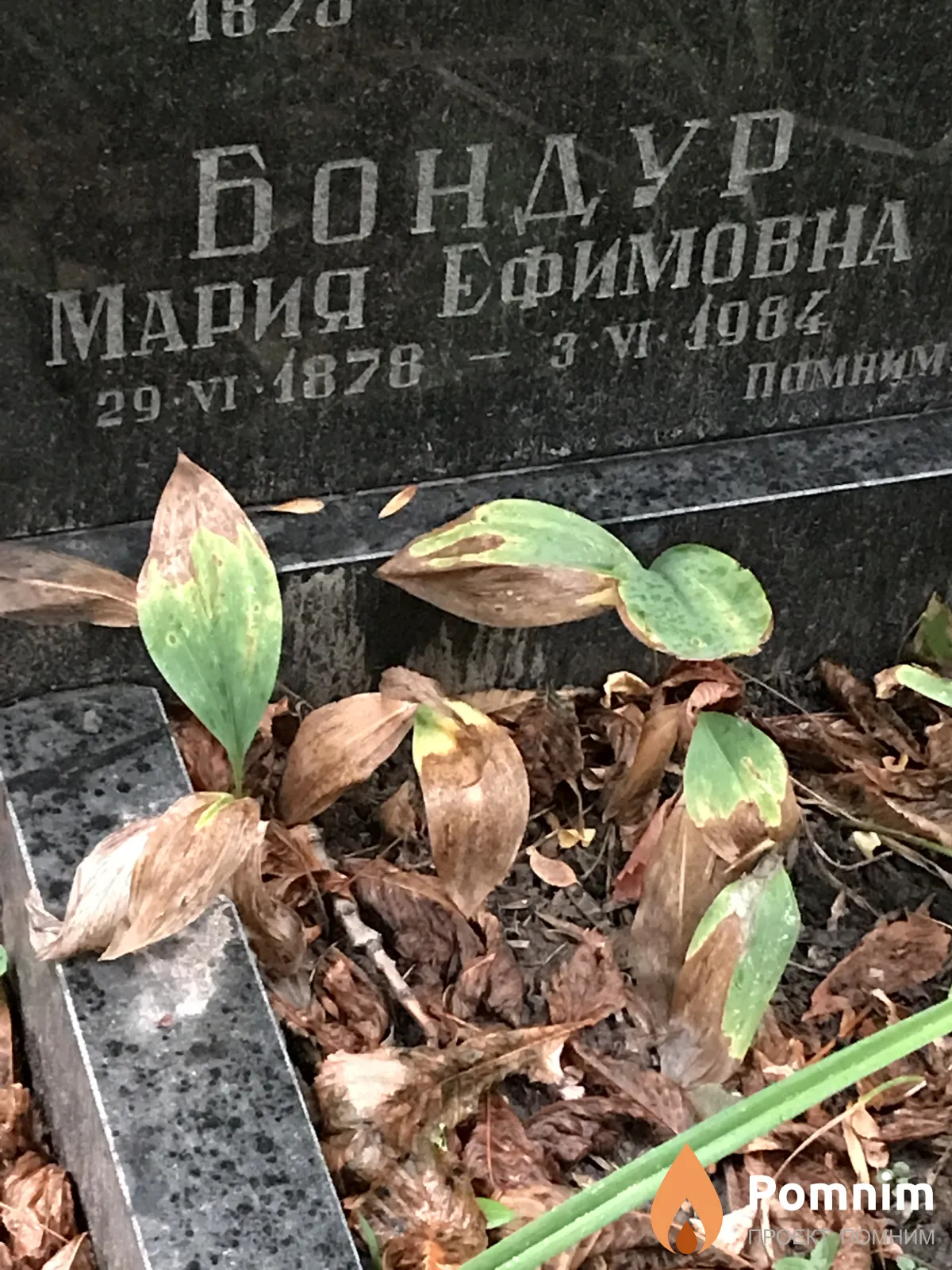 Бондур Мария Ефимовна