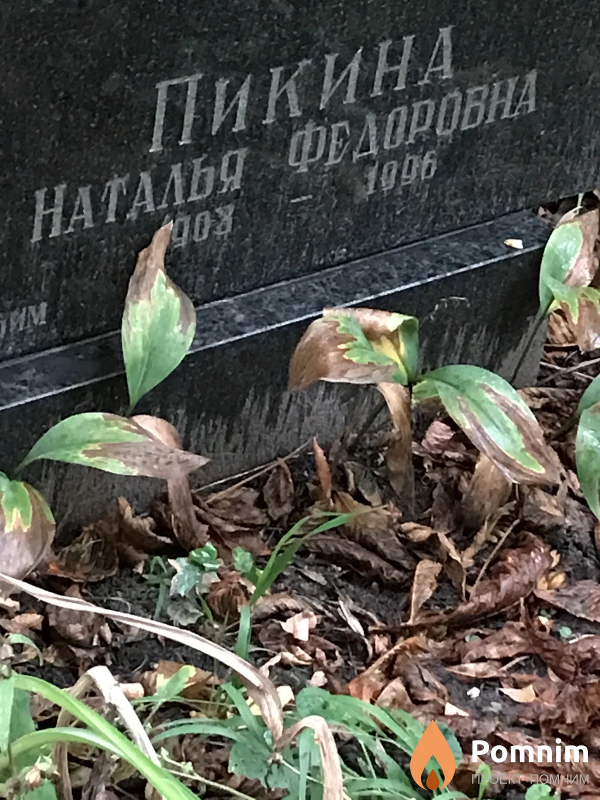 Пикина Наталия Фёдоровна