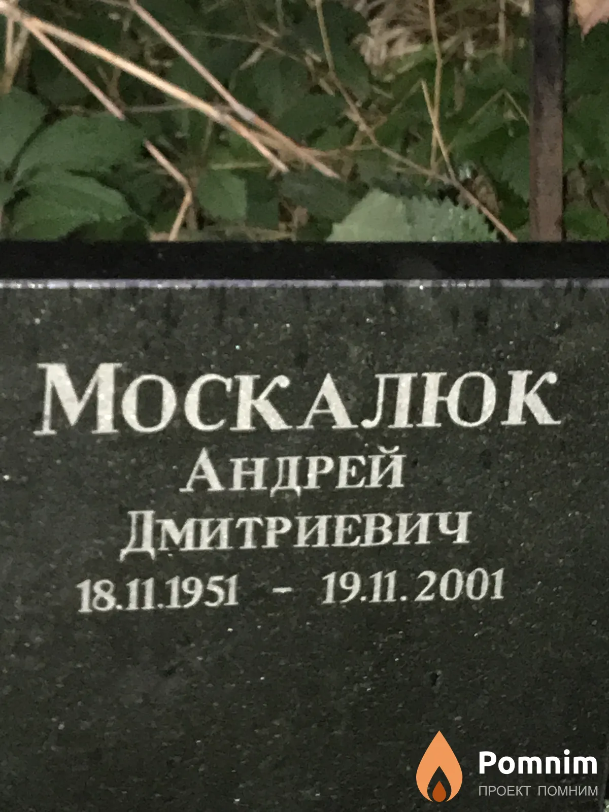 Москалюк Андрей Дмитриевич