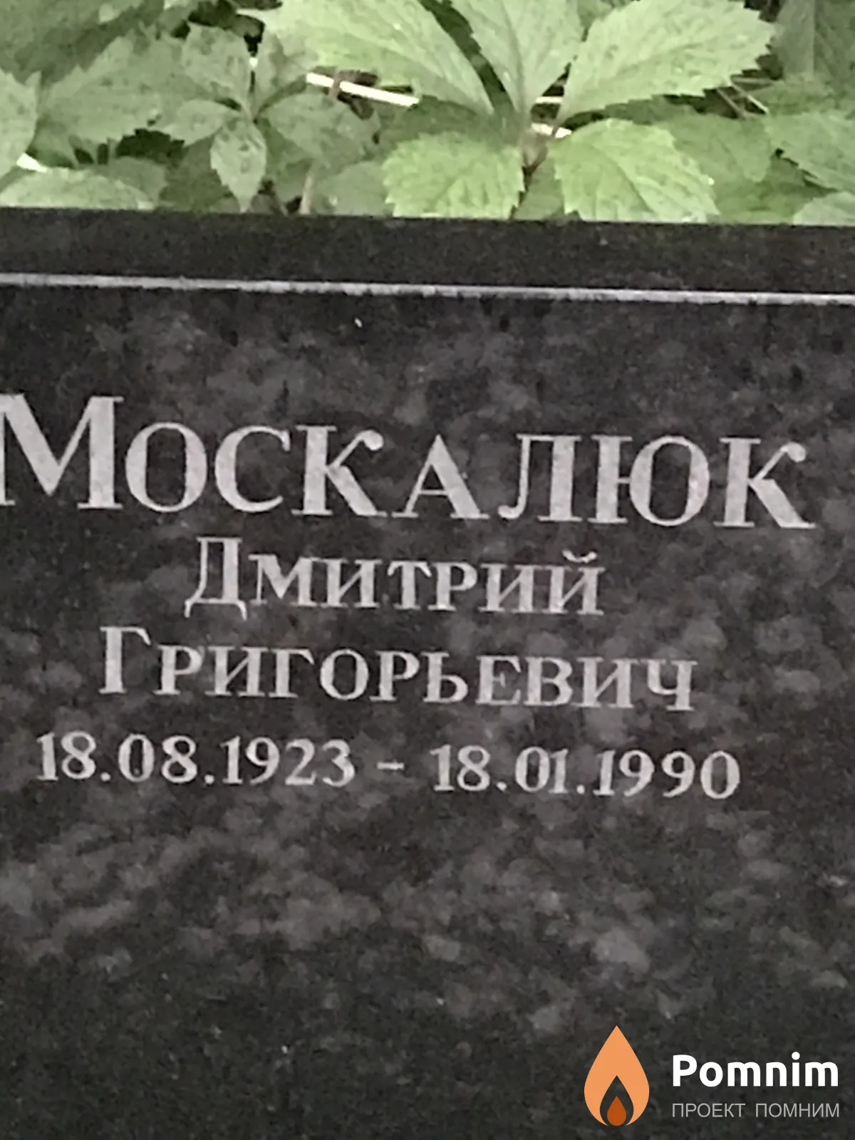 Москалюк Дмитрий Григорьевич