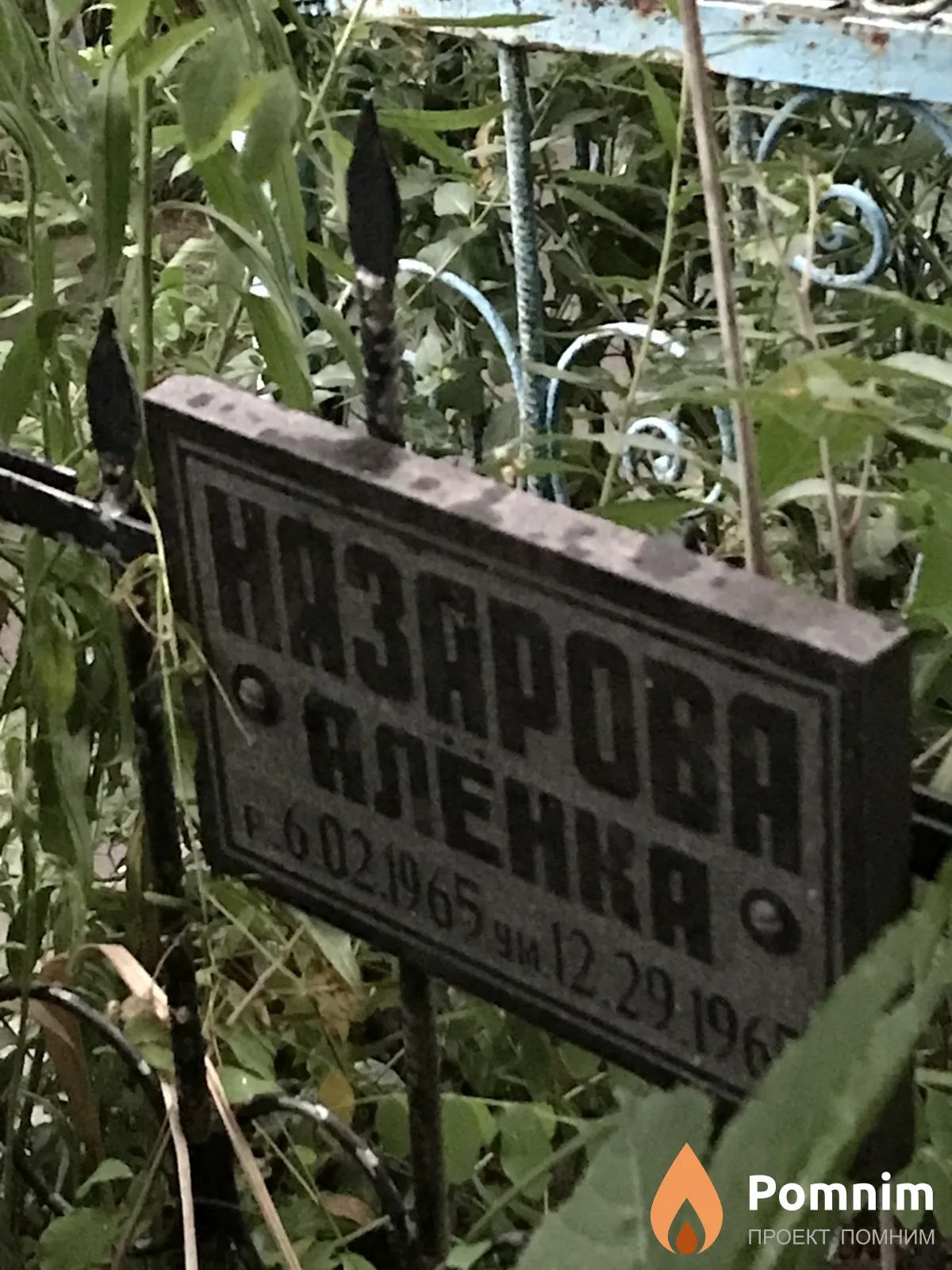 Назаренко Алёна