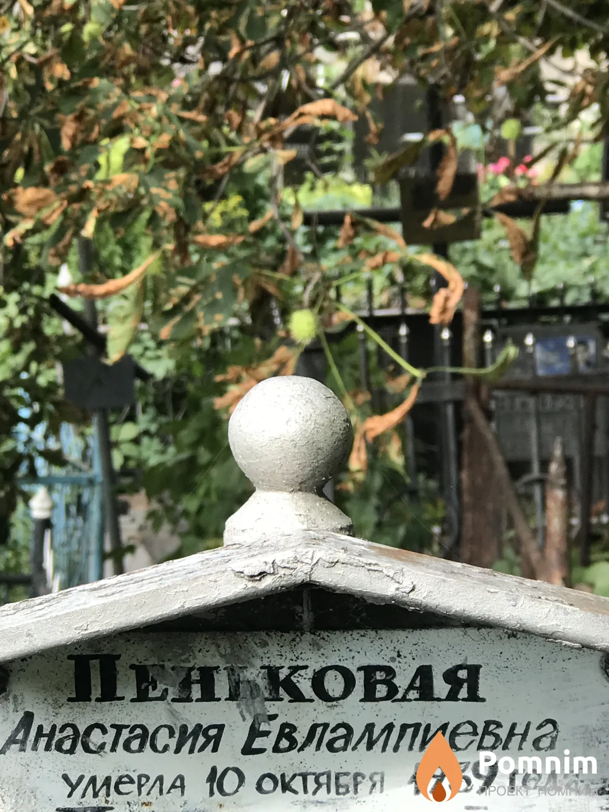 Пеньковая Анастасия Евлампиевна