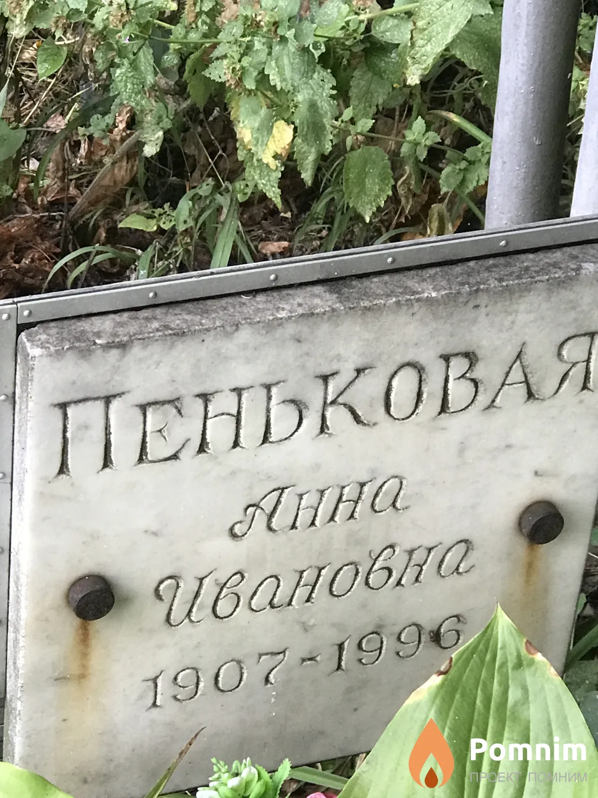 Пеньковая Анна Ивановна