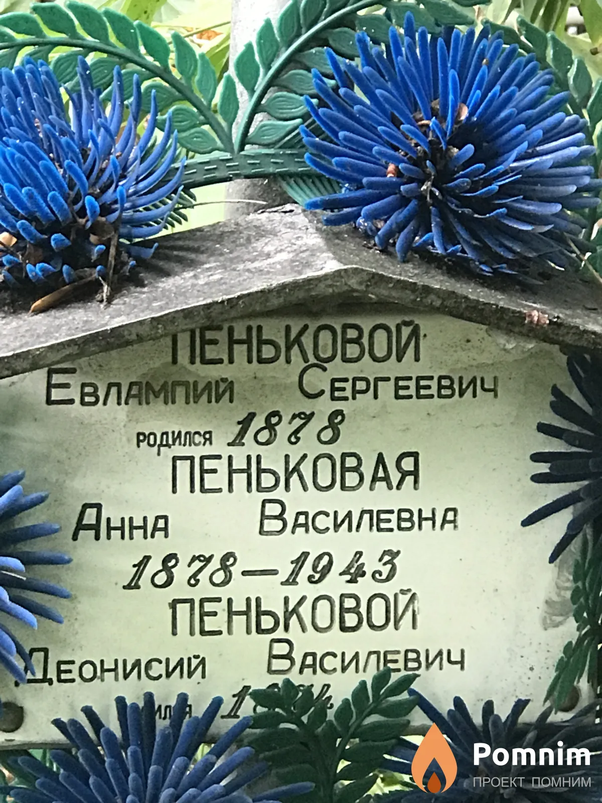 Пеньковая Анна Васильевна