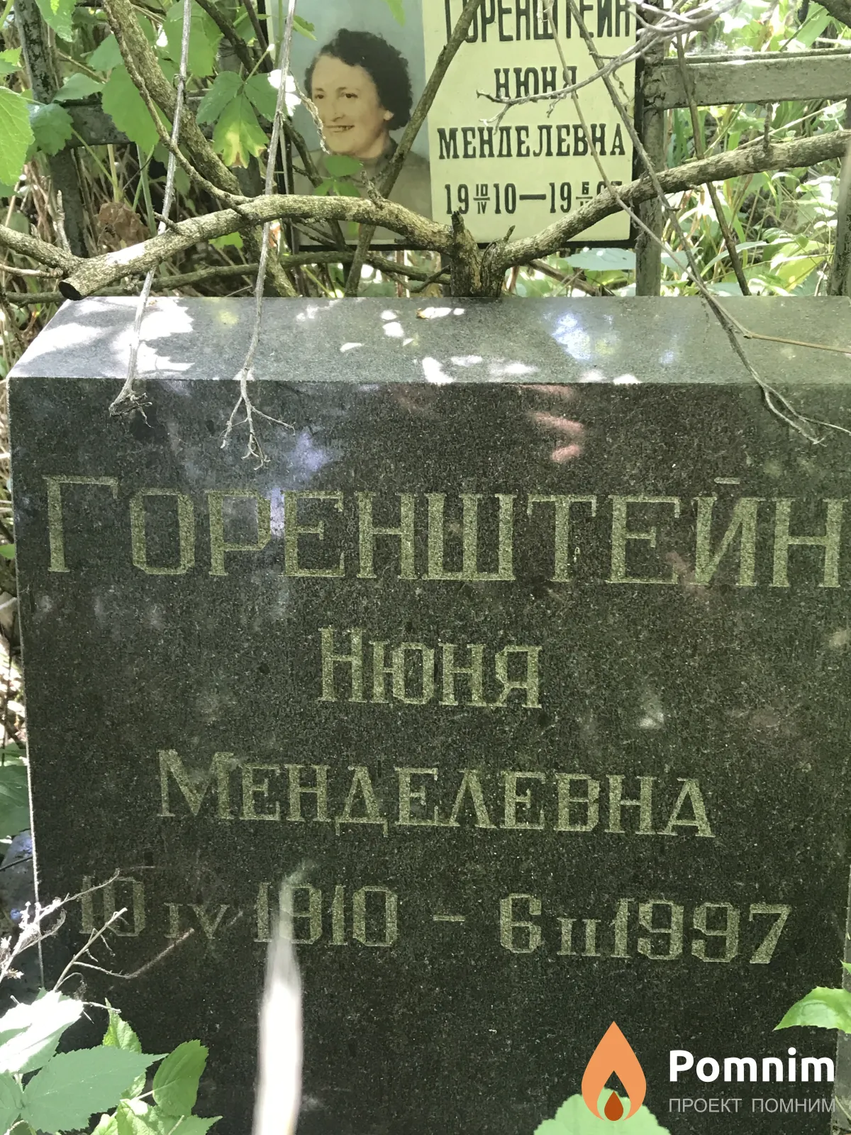 Горештейн Нюня Менделеевна