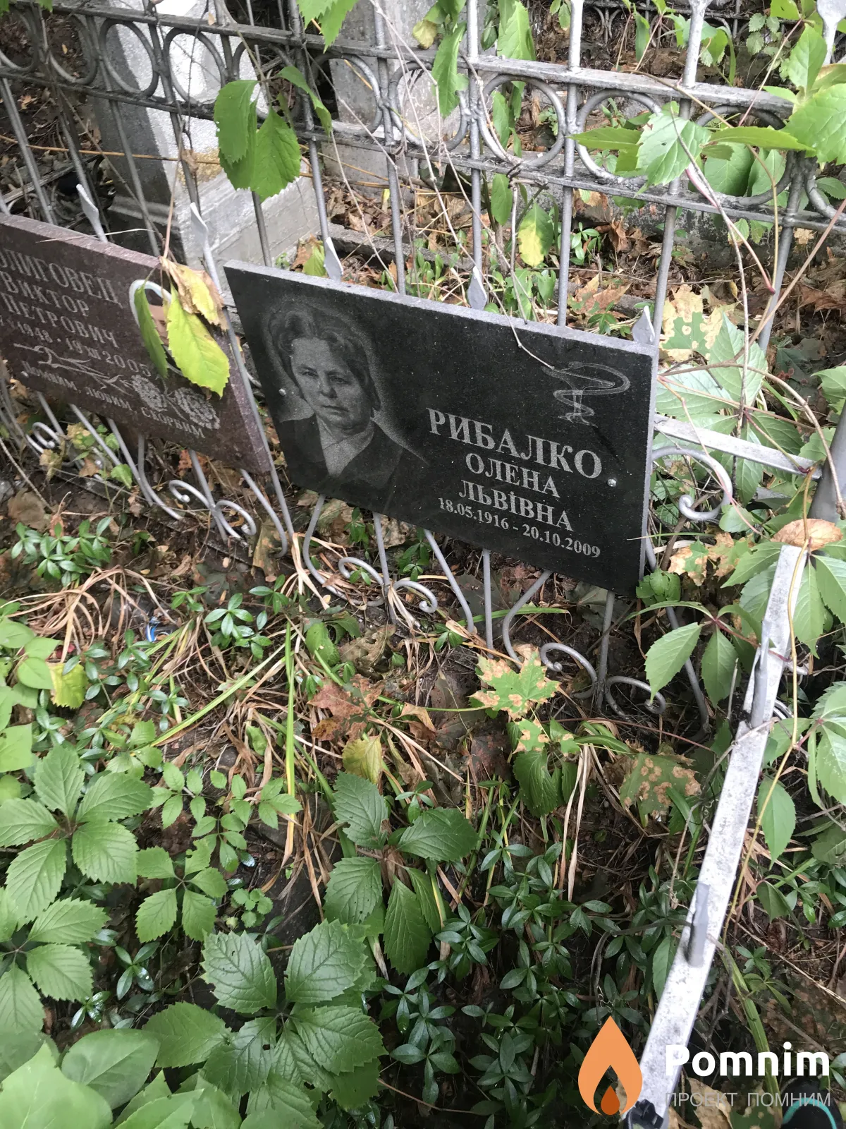 Рибалко Алена Львовна