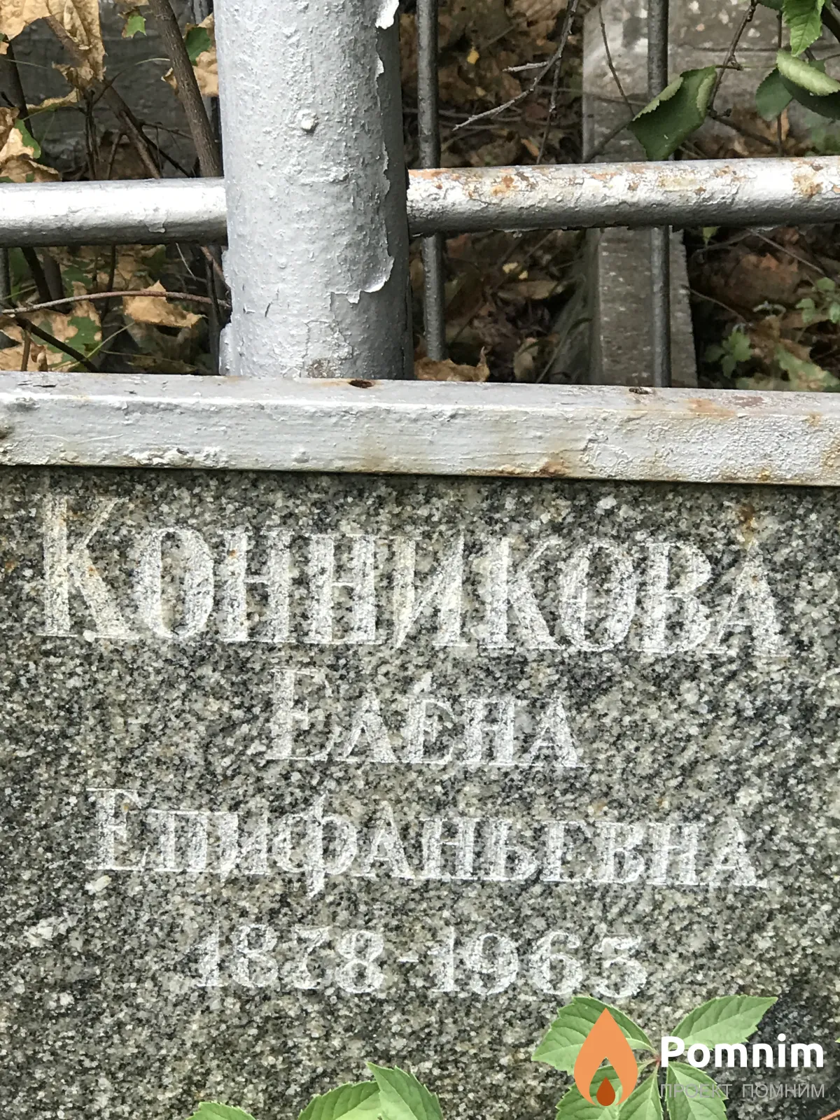 Конникова Елена Елифаньевна