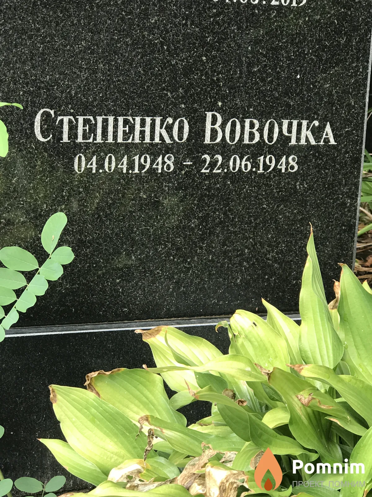 Степенко Вова