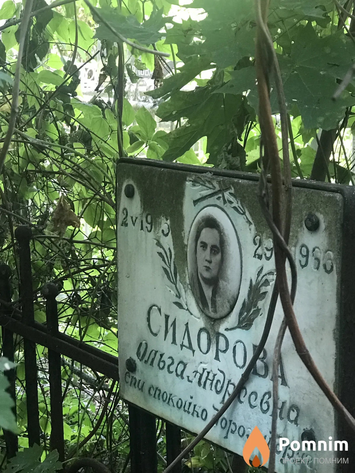 Сидорова Ольга Андреевна