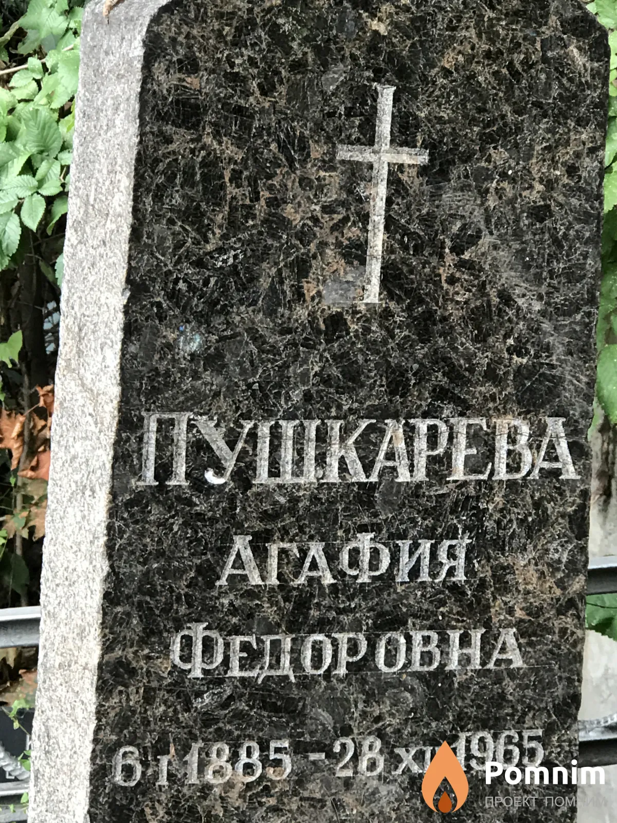 Пушкарева Агафия Федоровна