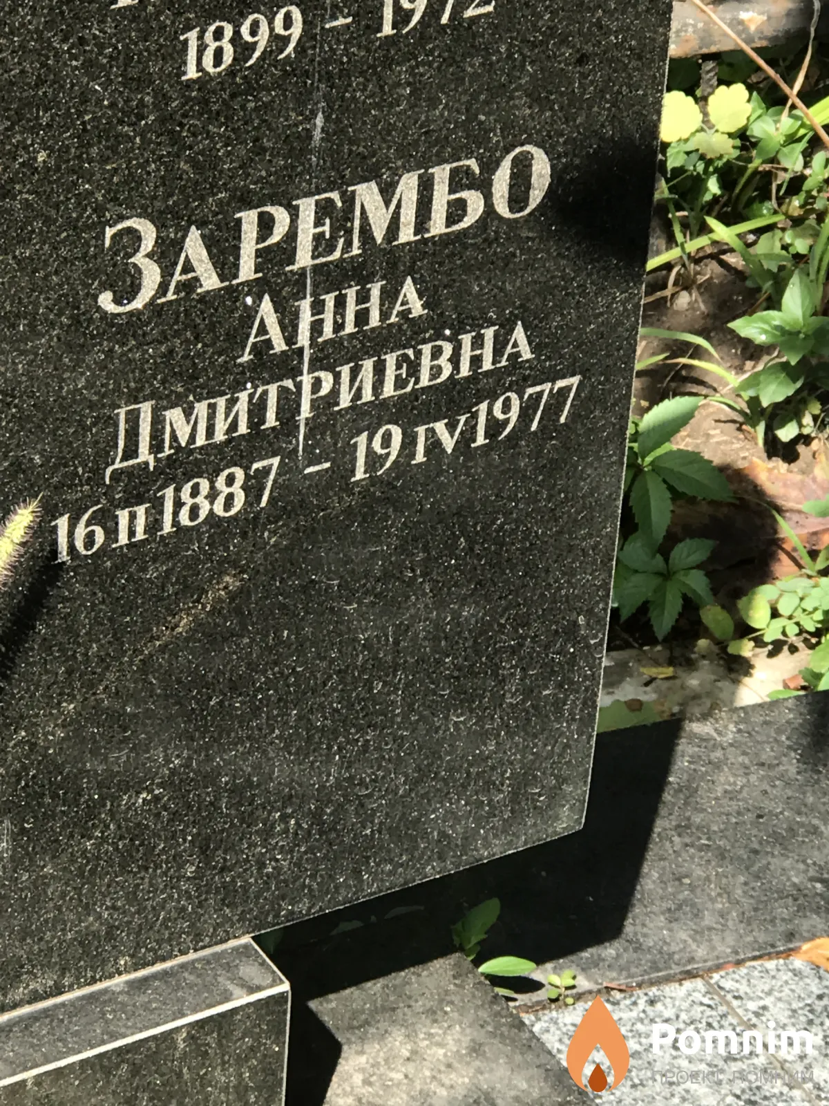 Зарембо Анна Дмитриевна