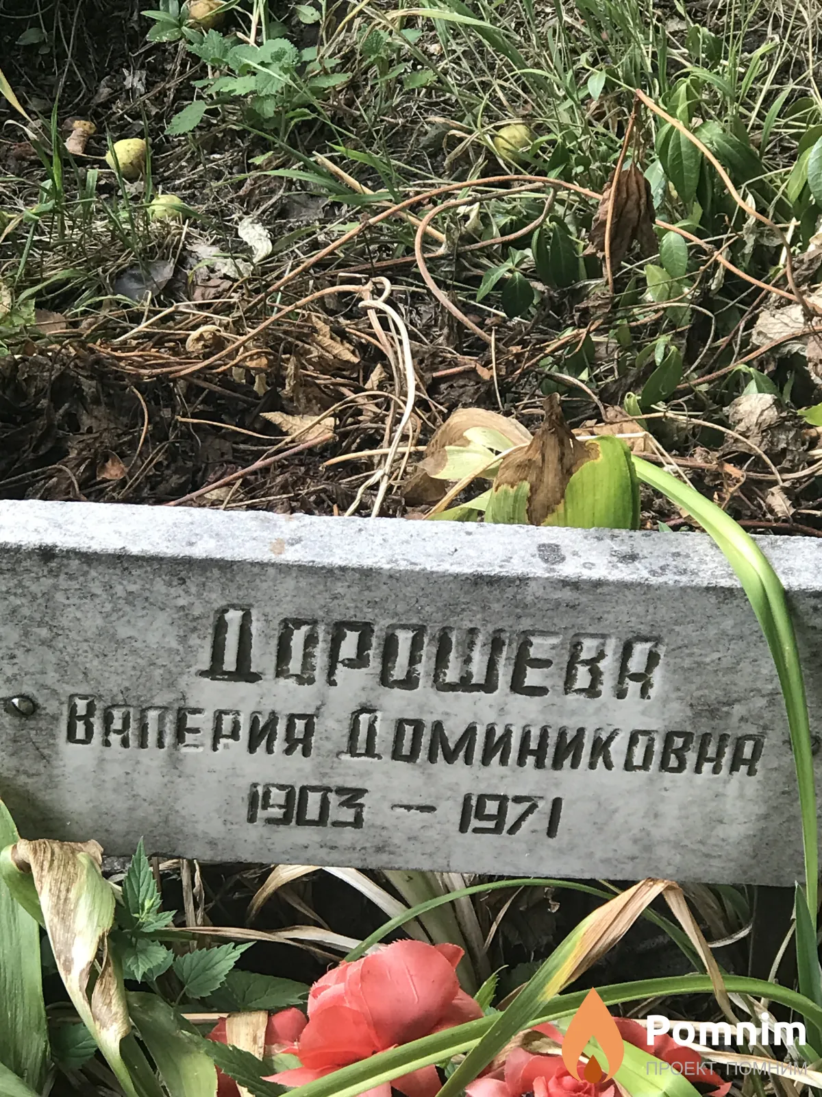 Дорошева Валерия Доминиковна