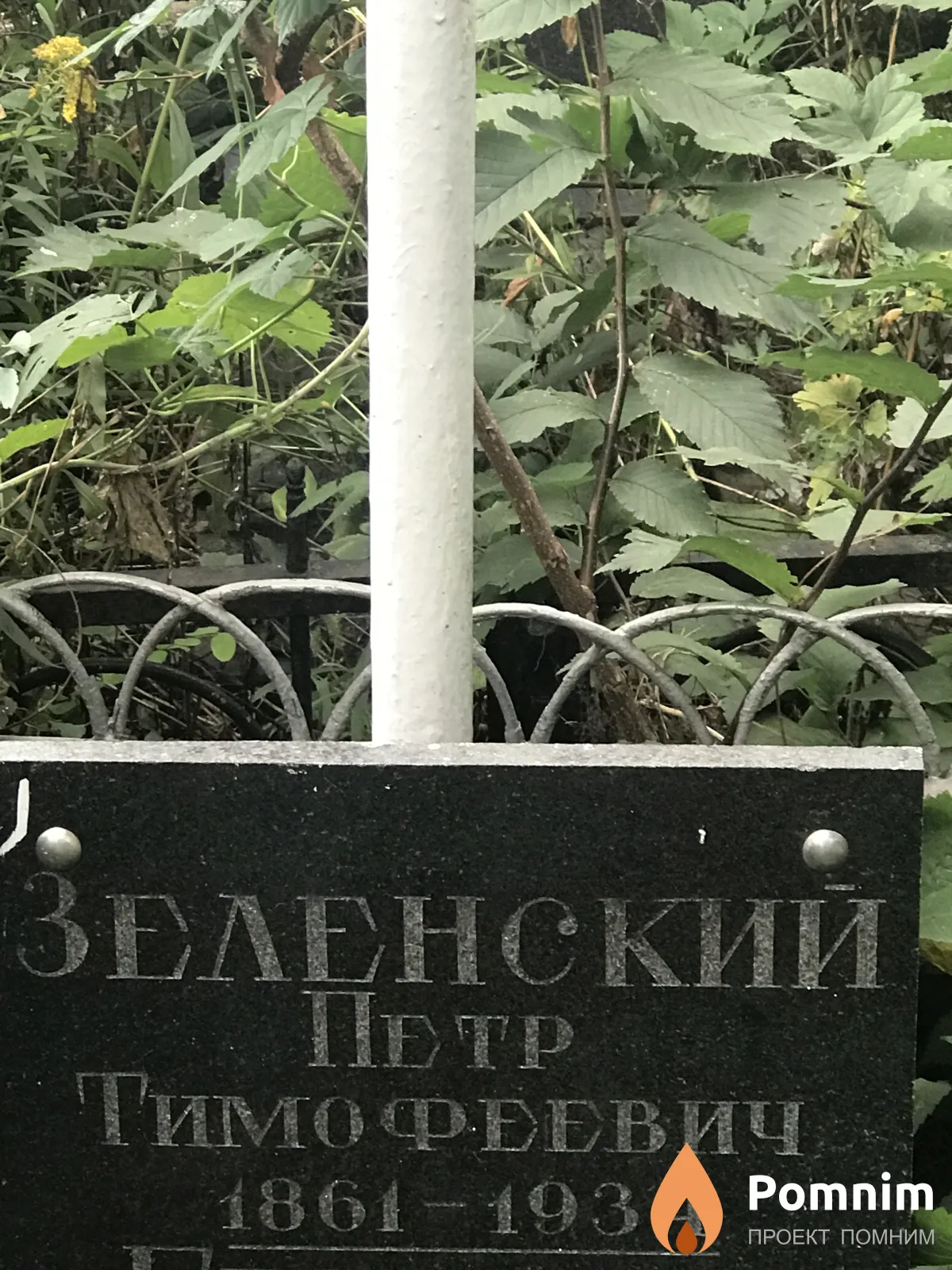 Зеленский Пётр Тимофеевич