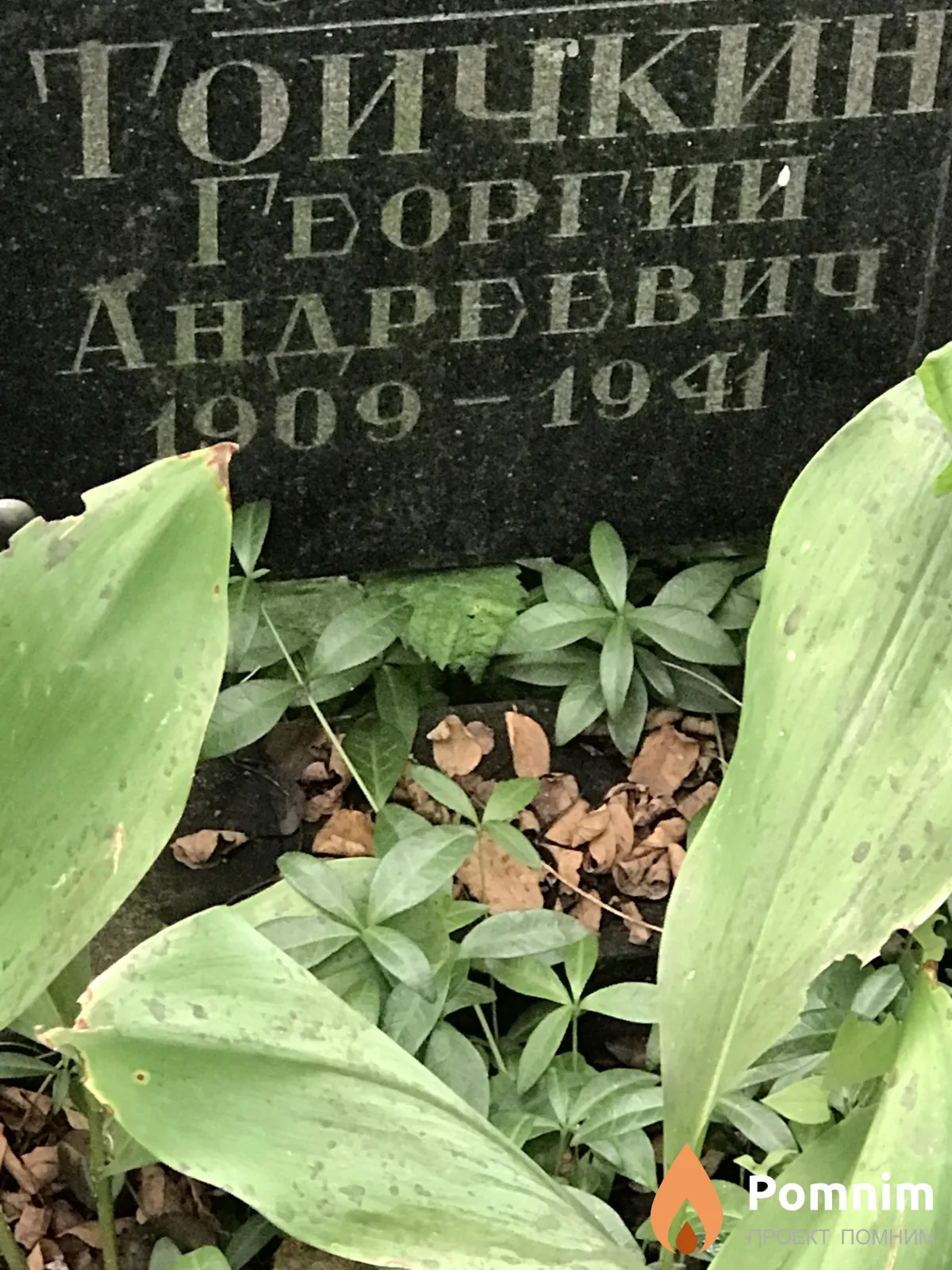 Тоичкин Георгий Андреевич
