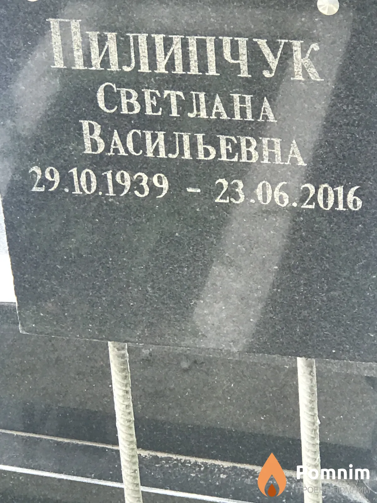 Пилипчук Светлана Васильевна