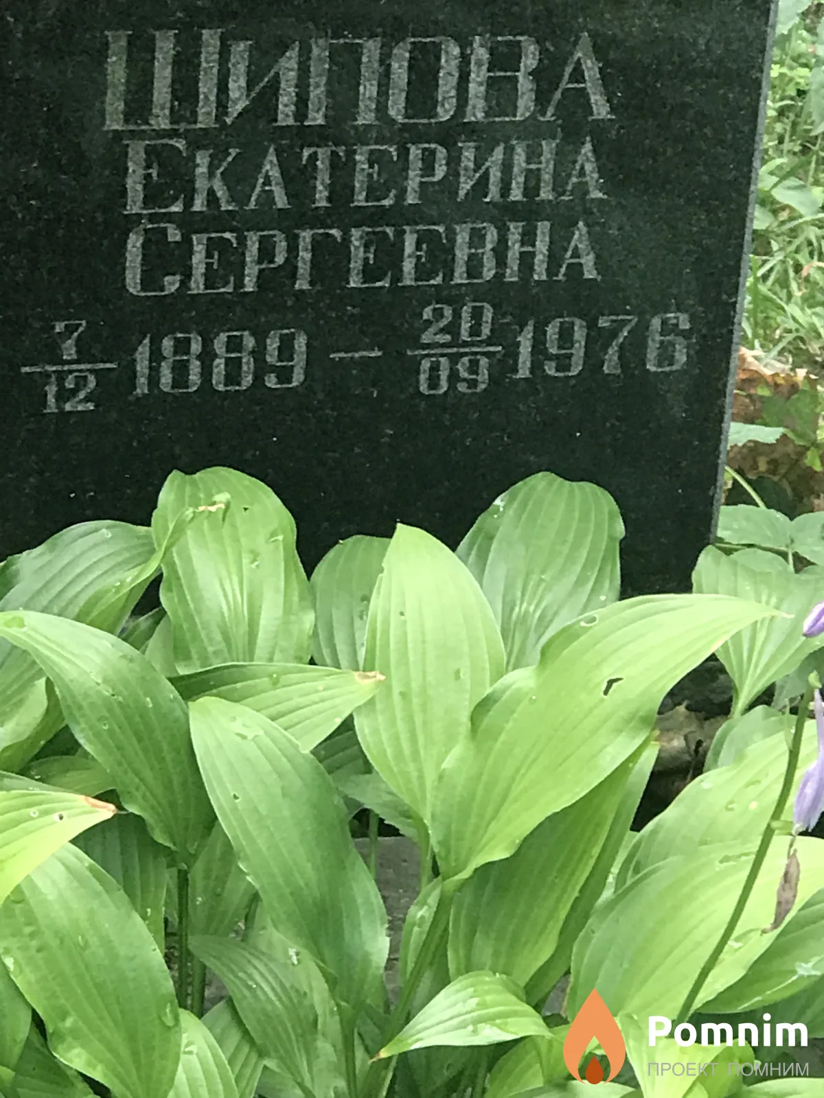 Шипова Екатерина Сергеевна