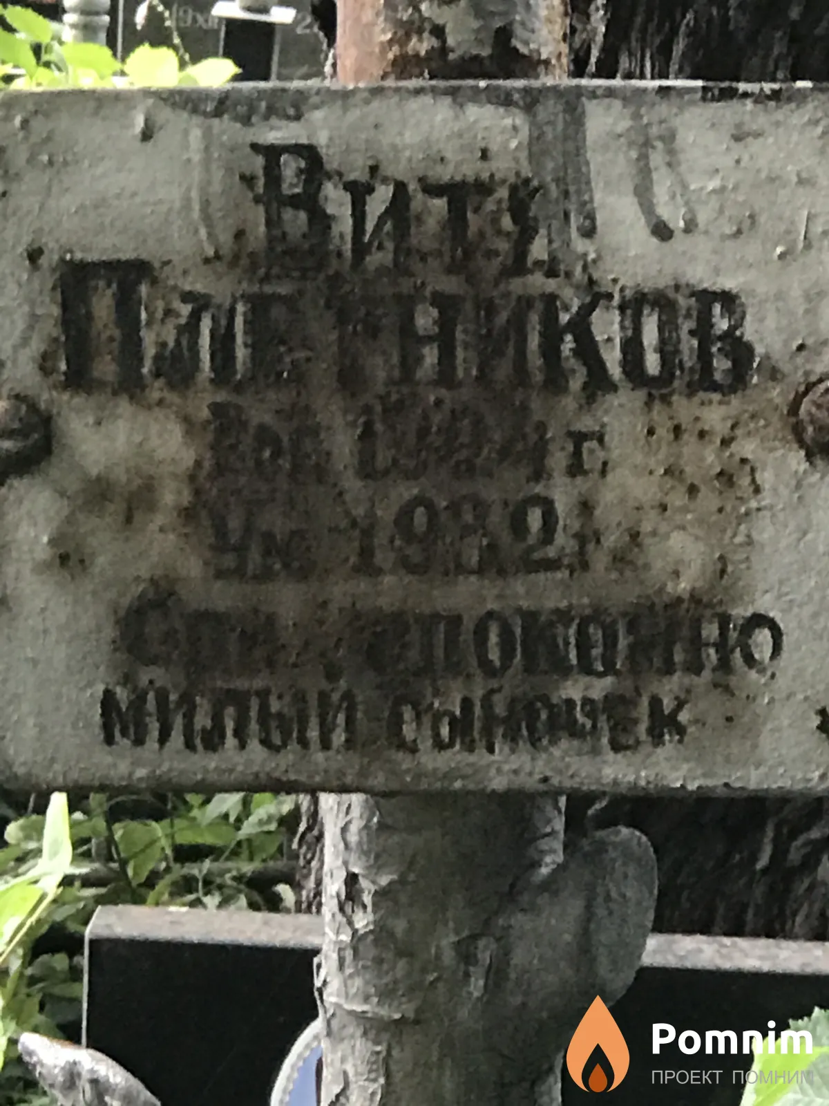 Плетников Витя