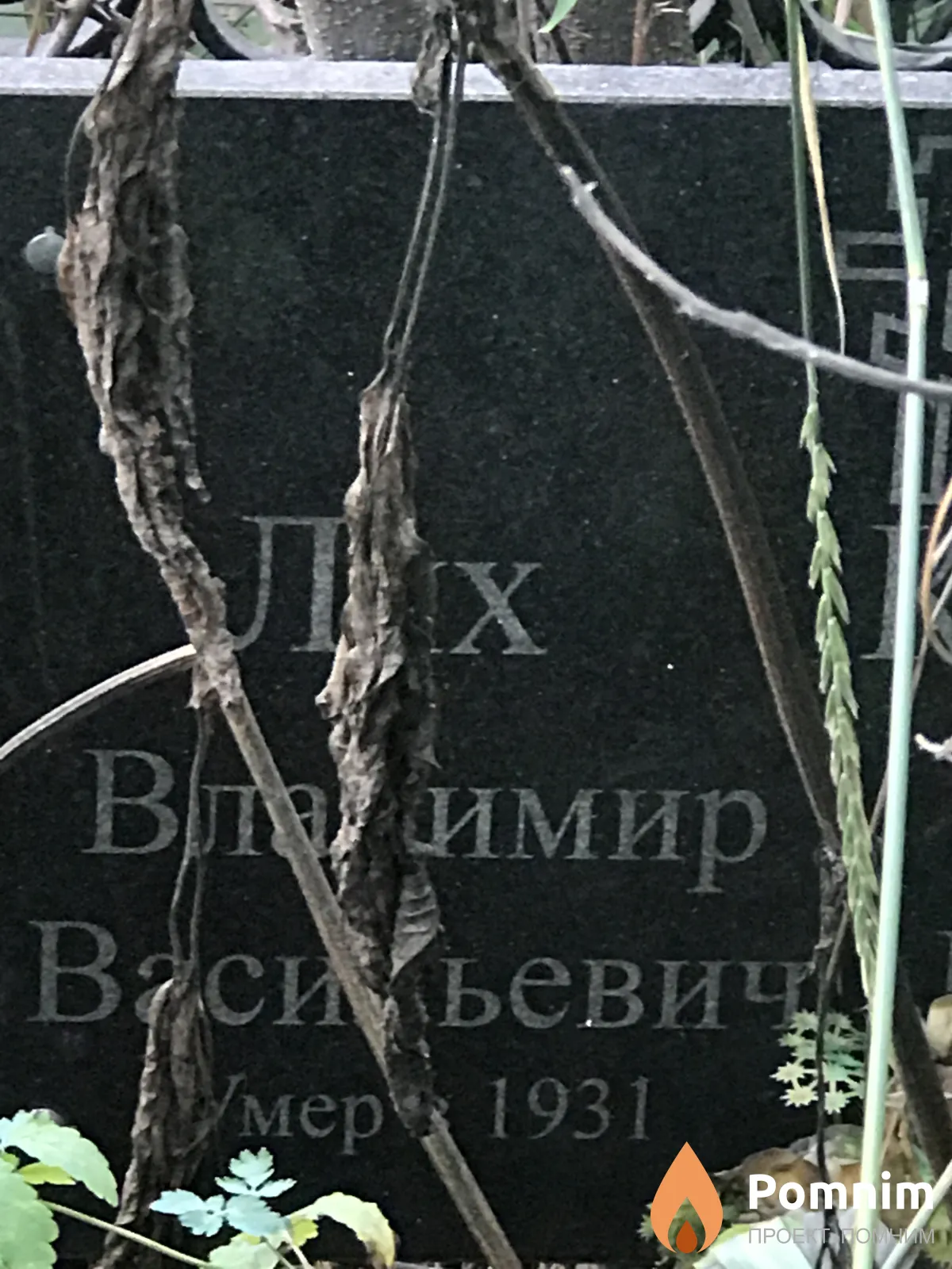 Лях Владимир Васильевич