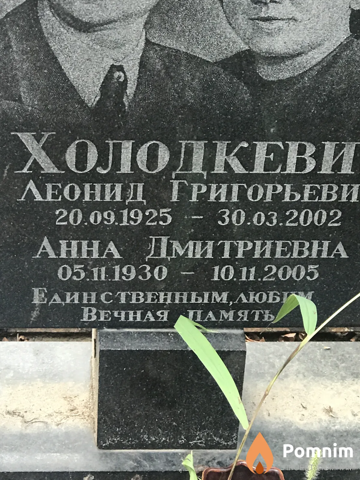 Холодкевич Анна Дмитриевна