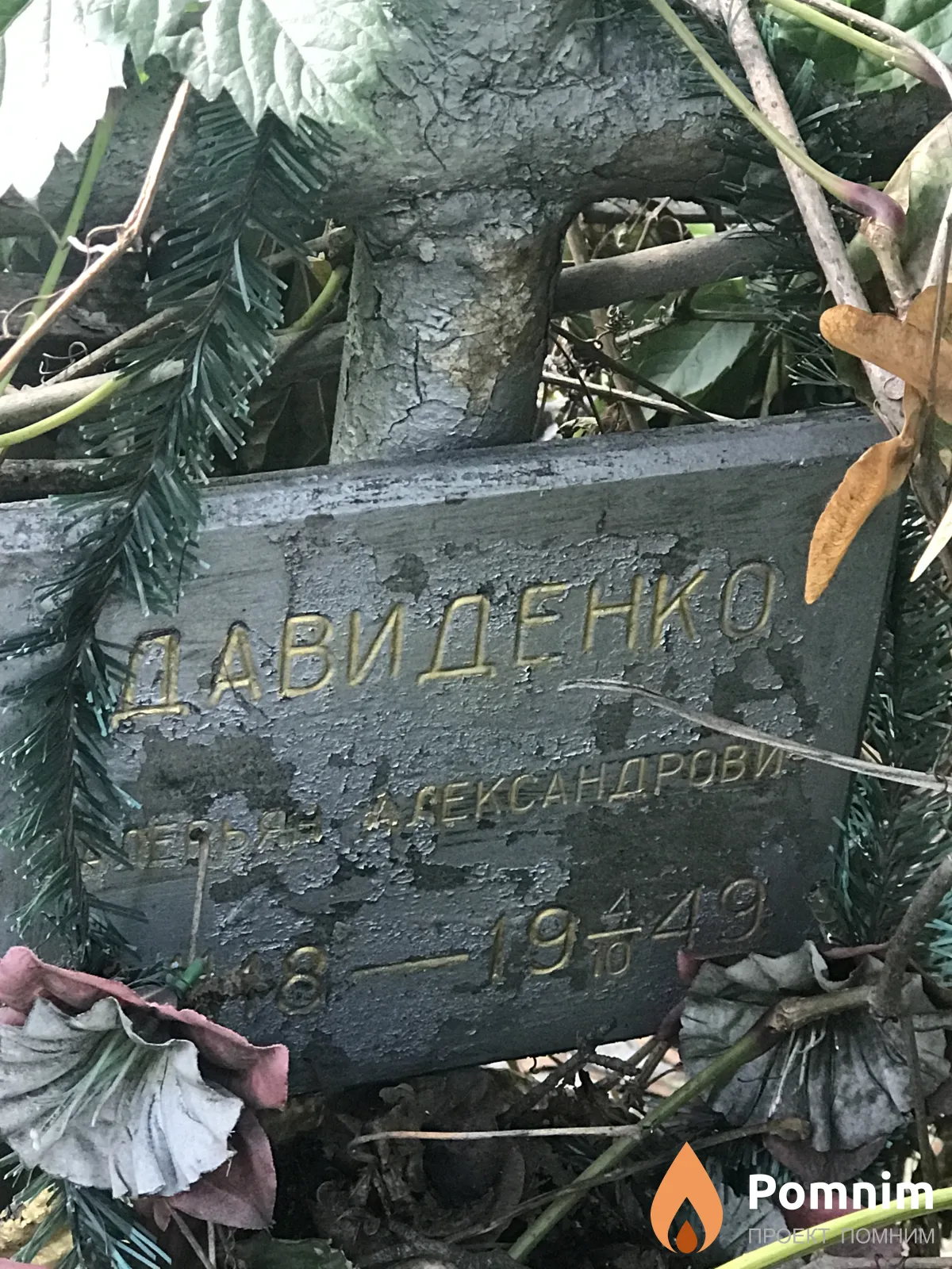 Давиденко Валерия Александровна
