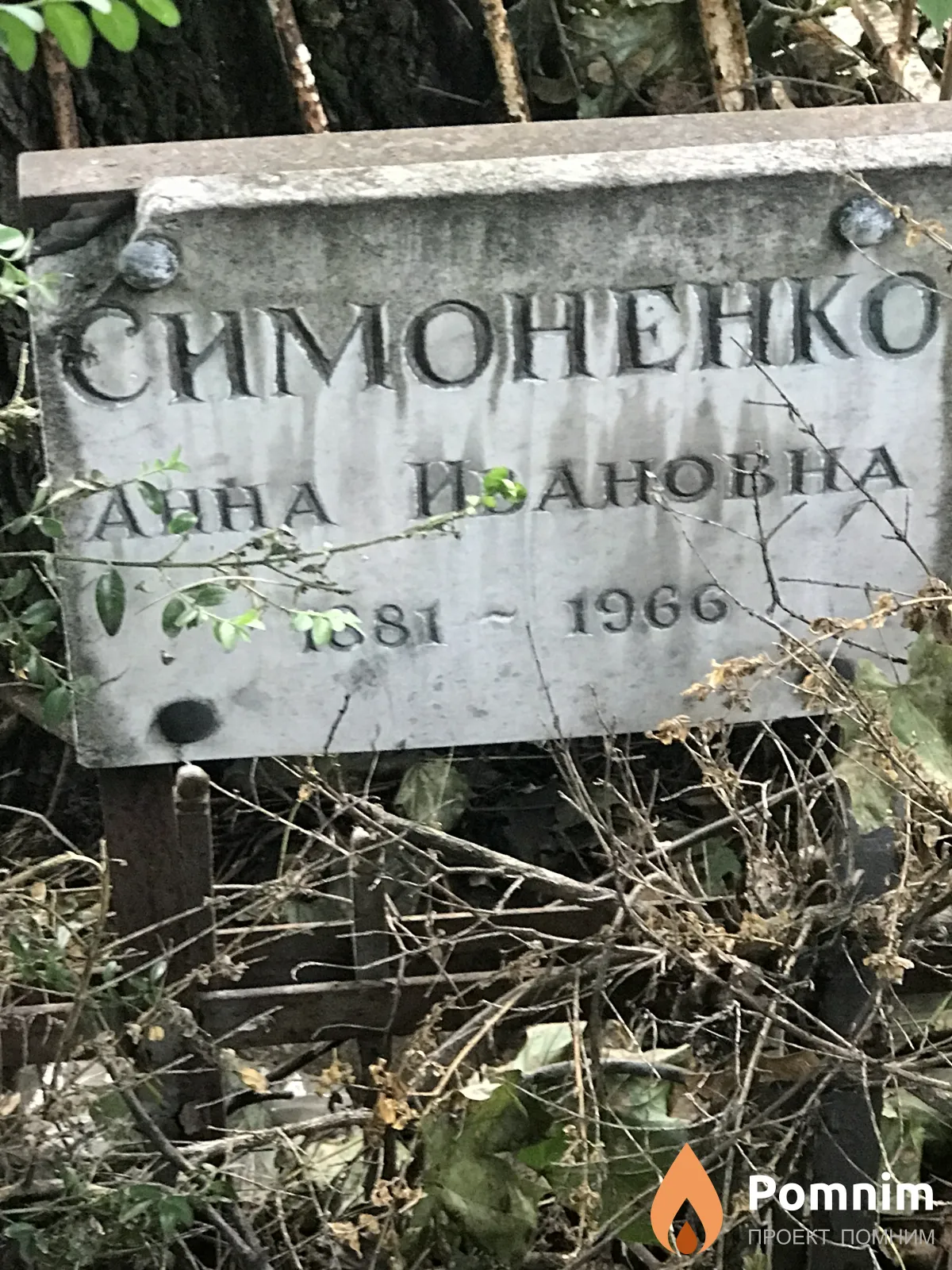 Симоненко Анна Ивановна