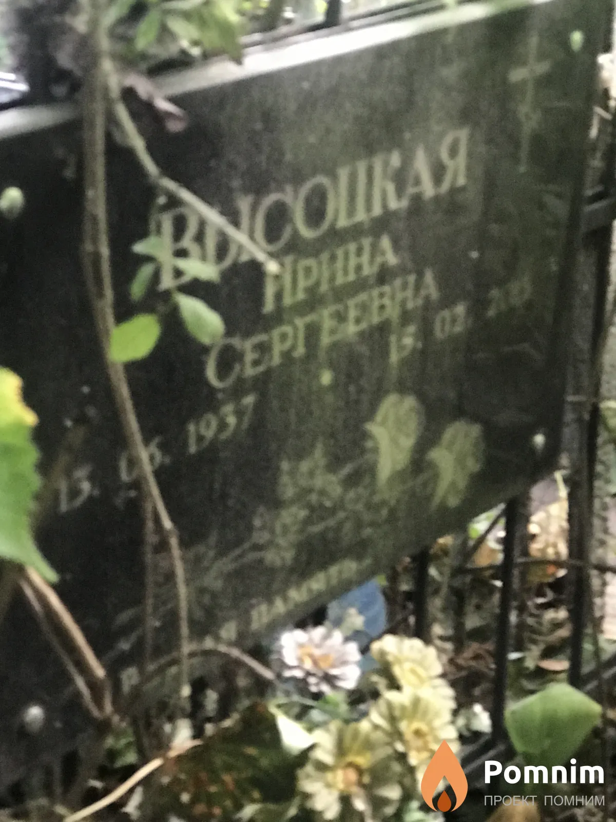 Высоцкая Ирина Сергеевна