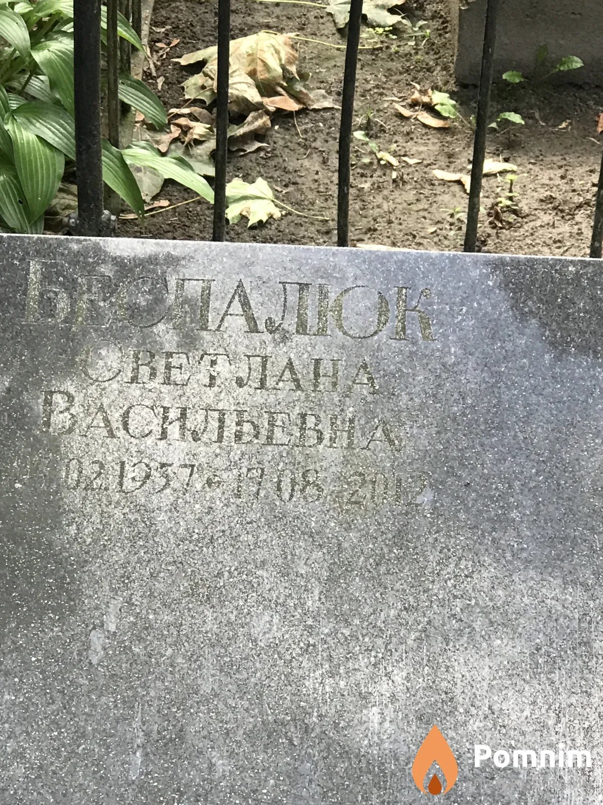 Беспалюк Светлана Васильевна