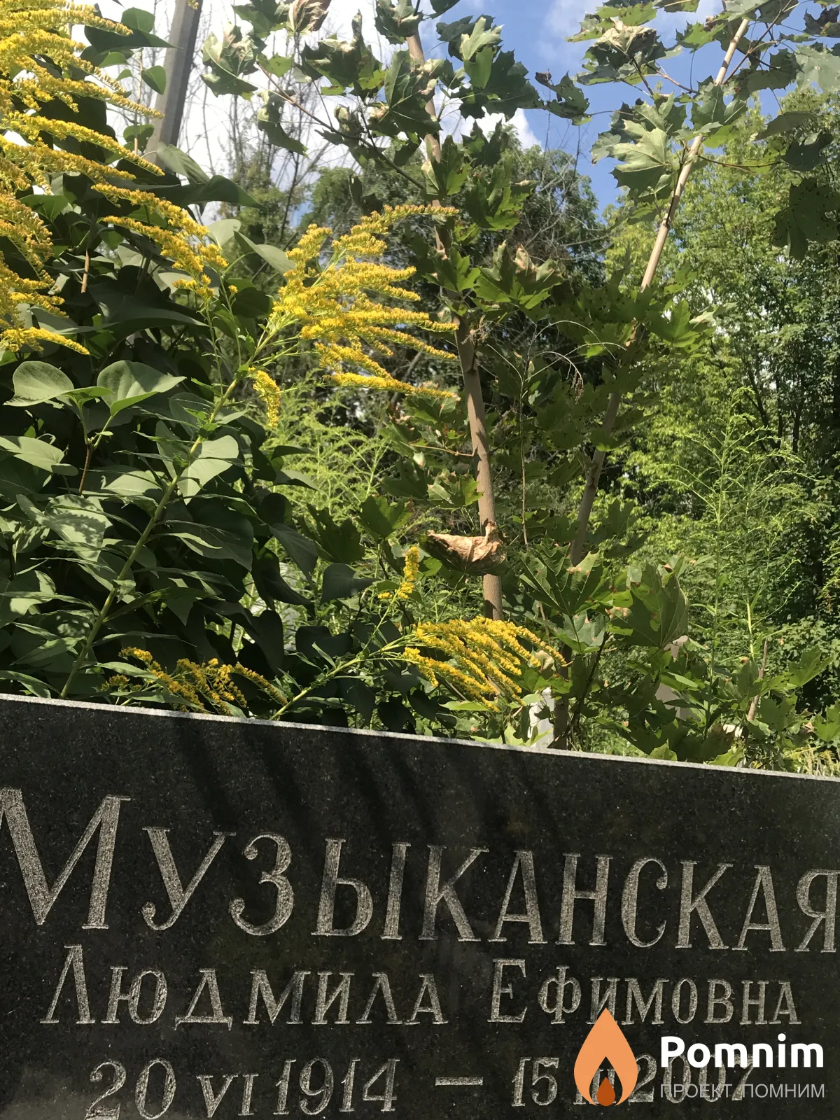 Музыканская Людмила Ефимовна