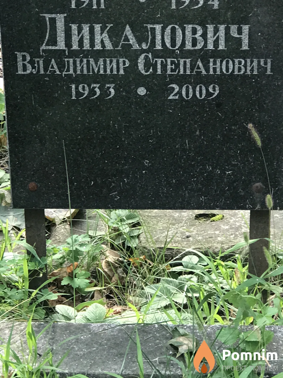 Дикалович Владимир Степанович