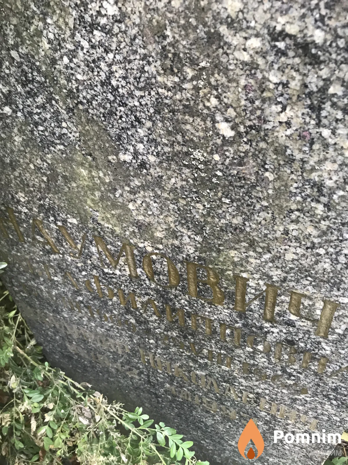 Наумович Ольга Филипповна