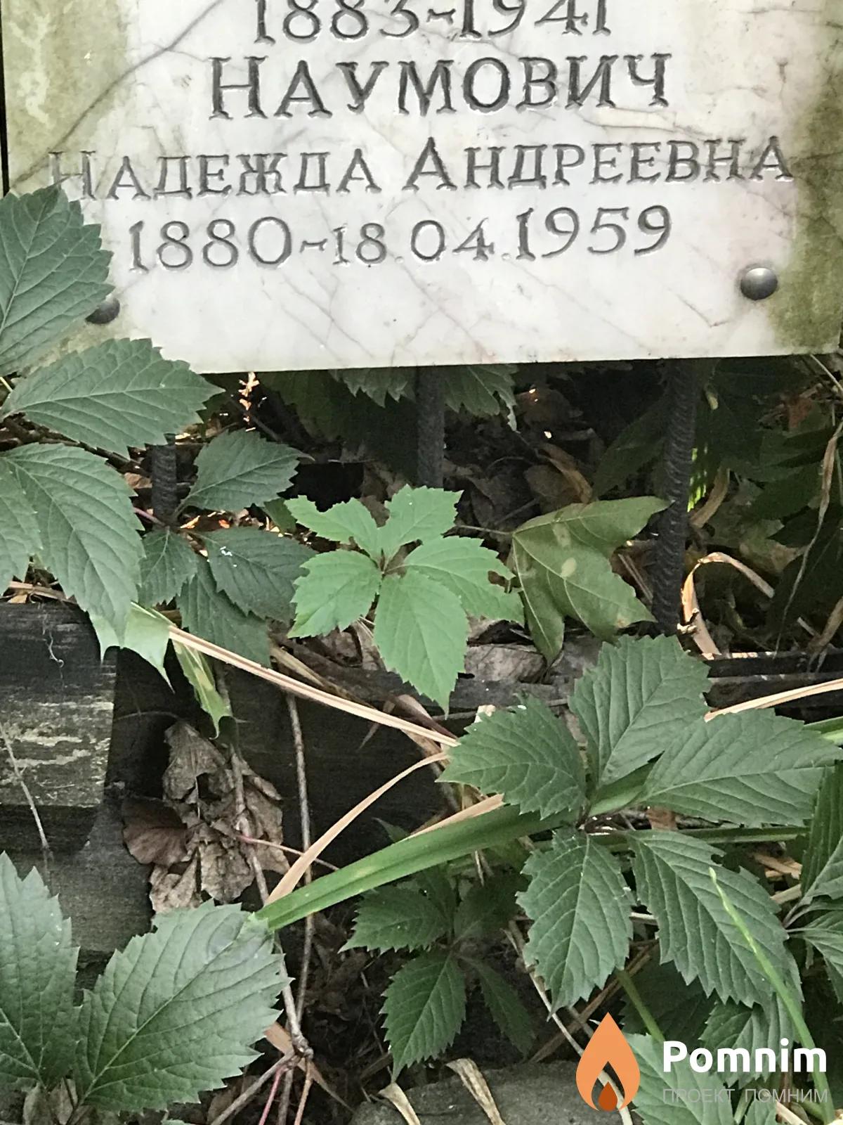 Наумович Надежда Андреевна