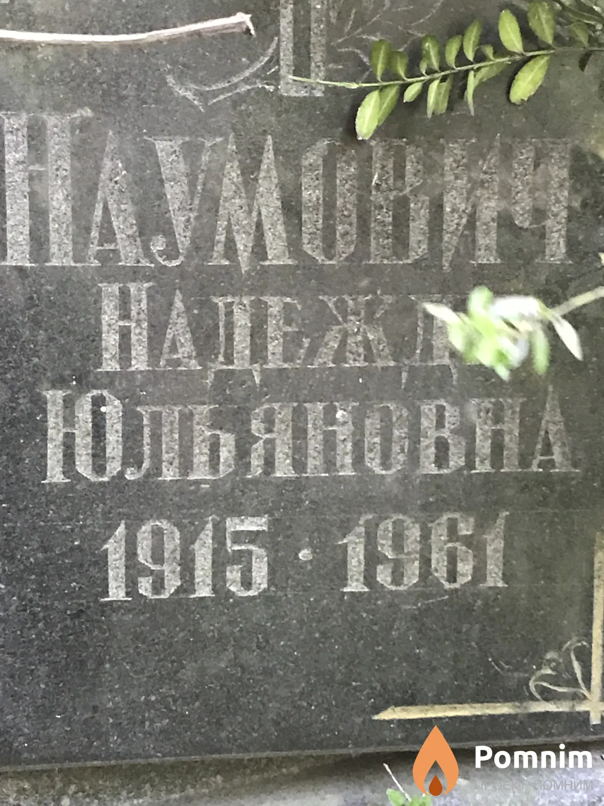Наумович Надежда Юльяновна