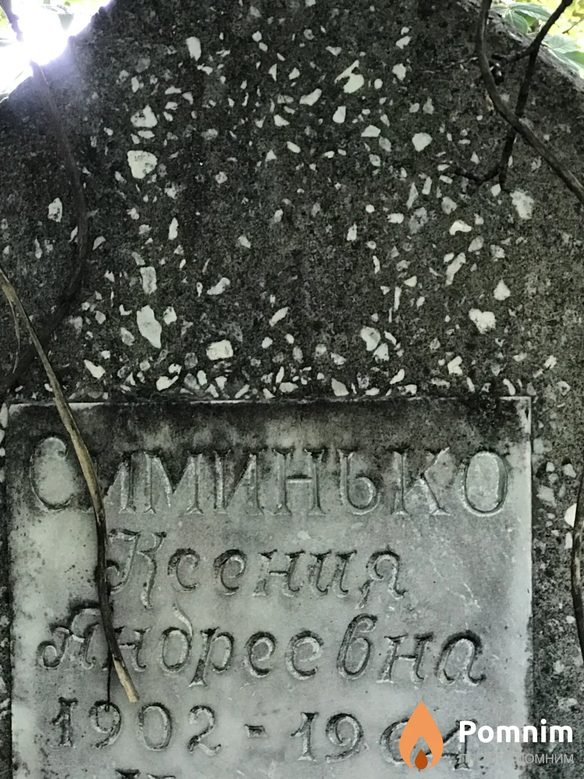 Симинько Ксения Андреевна