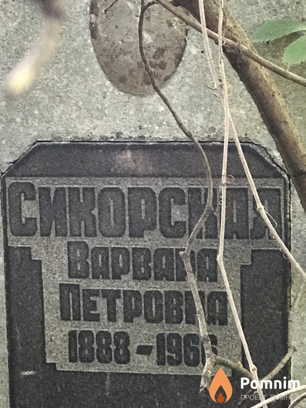 Сикорская Варвара Петровна