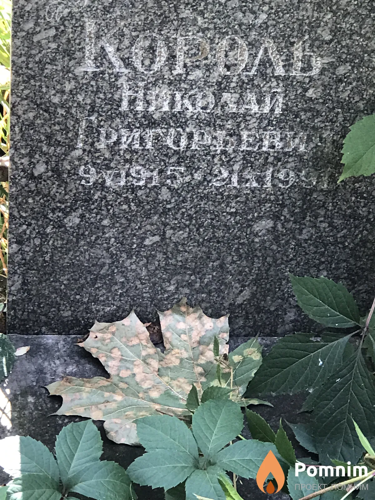 Король Николай Григорьевич