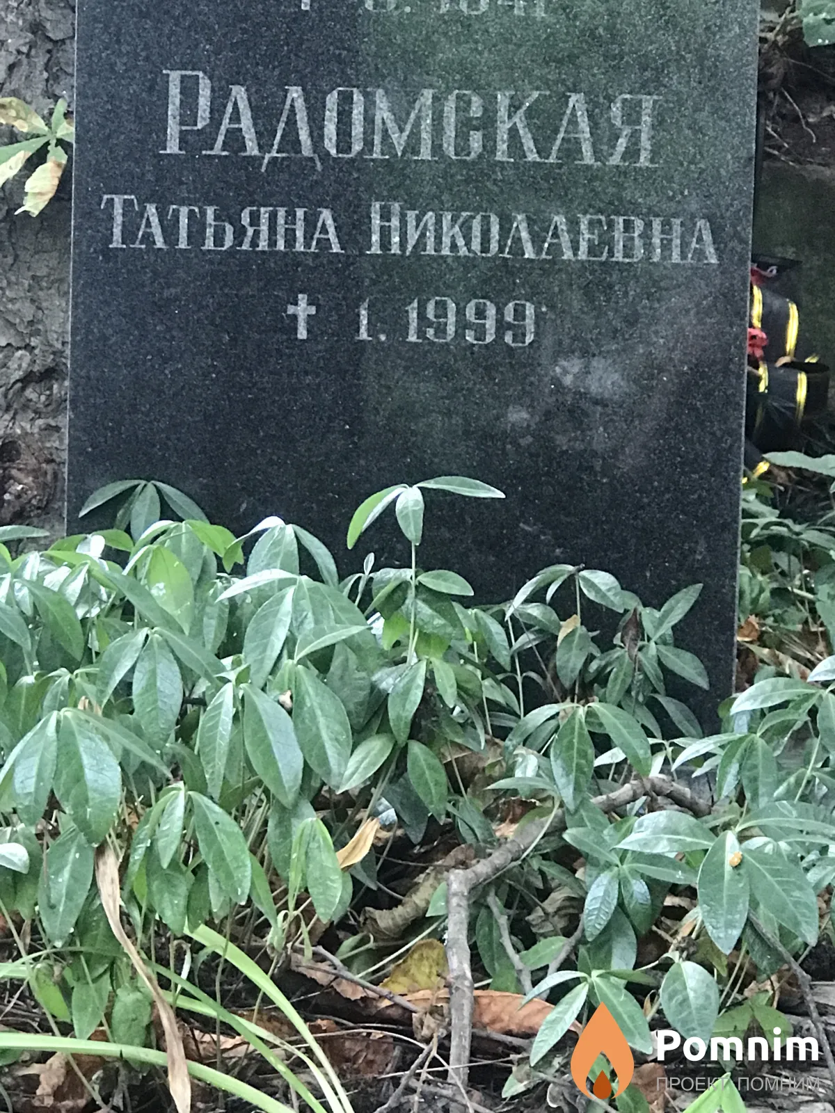 Радомская Татьяна Николаевна