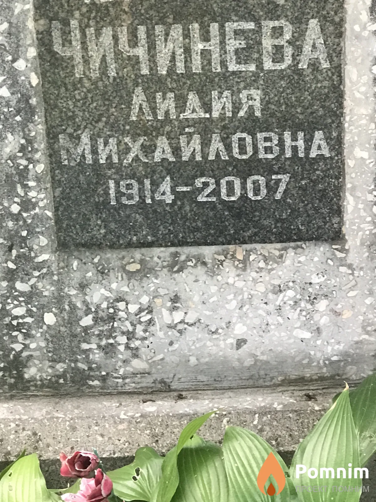 Чичинева Лидия Михайловна