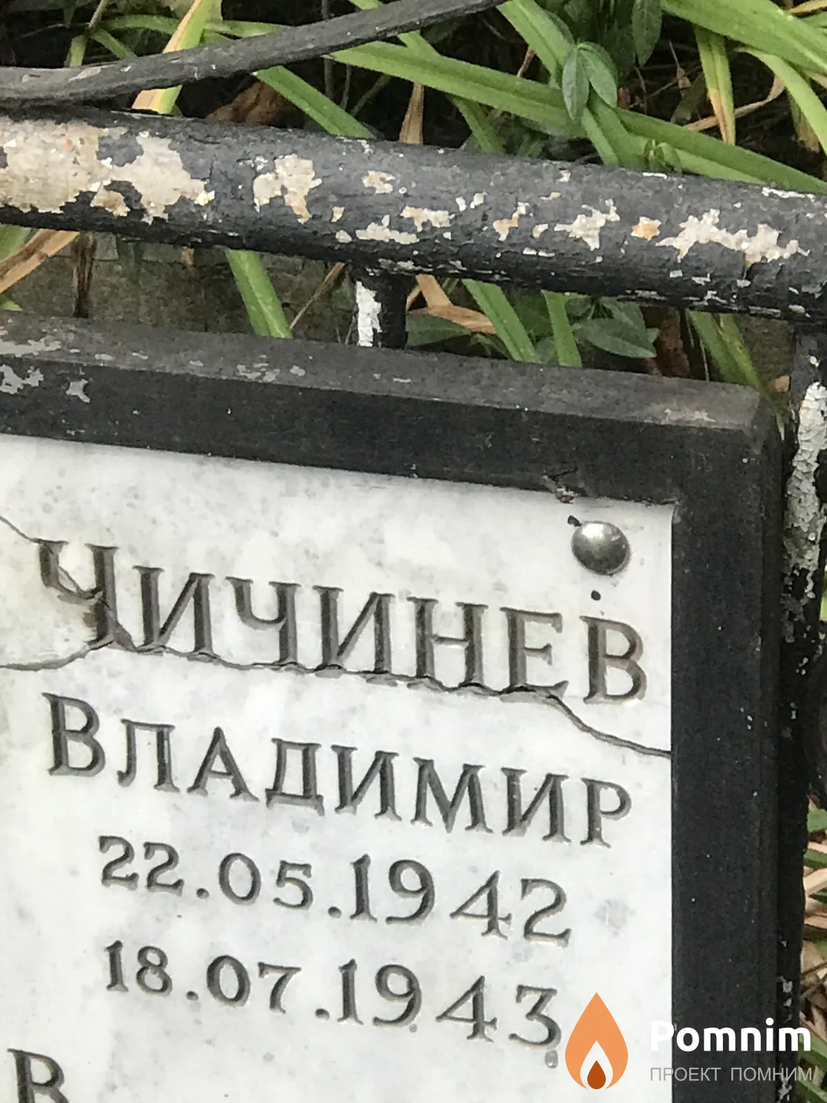 Чичинев Владимир