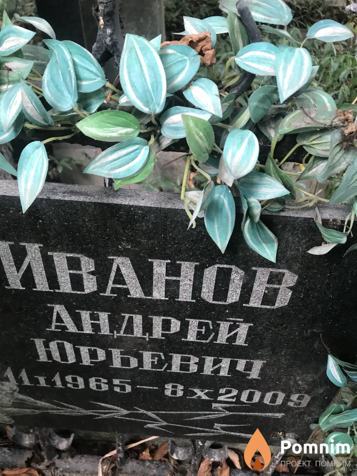 Иванов Андрей Юрьевич