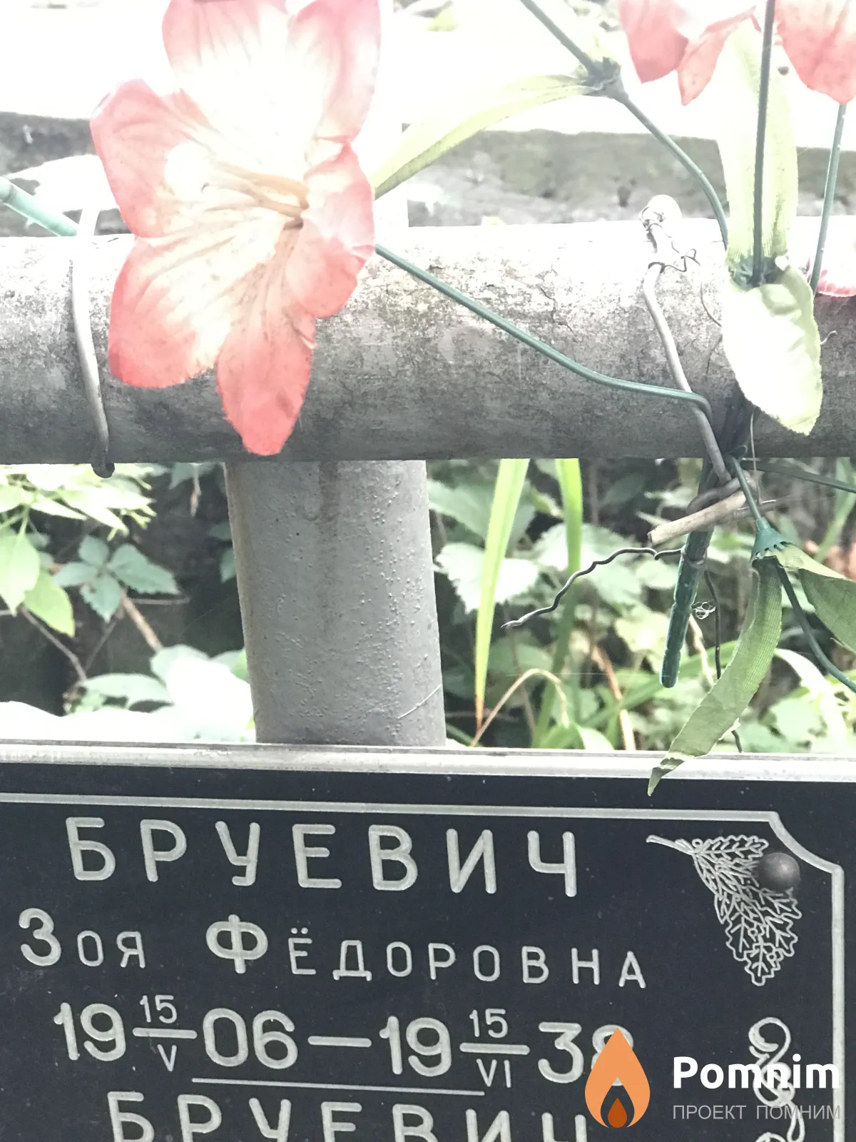 Брчевич Зоя Фёдоровна